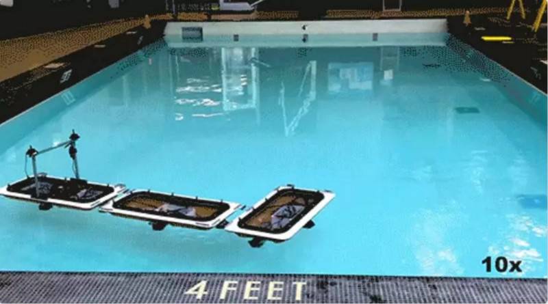 Cˮꑣdˣ@ЩƻƬеĈ쌍Fˣ