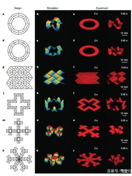 3DӡܛwCˣ3DӡՑԽԽV