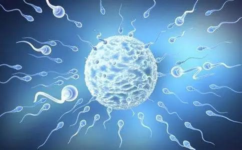 ɹܾӆl(f)΢͙C(j)˿w΄(dng)\(yn)ˎ