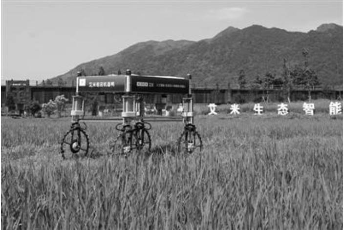 㽭ׂ5GǻrIϾ CѲo˙C