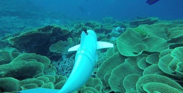 ˼O֣δ㿴@ЩܶǙCˣ