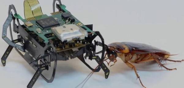 ˼O֣δ㿴@ЩܶǙCˣ