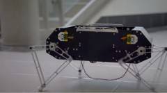 斯坦福大學開源了一個四足機器人