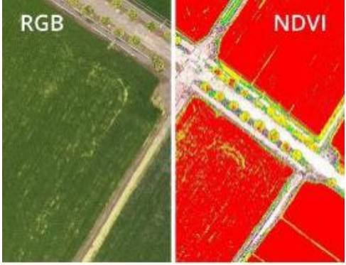 󽮾`4Vo(w)˙C(j)l(f)ھ(zhn)r(nng)I(y)