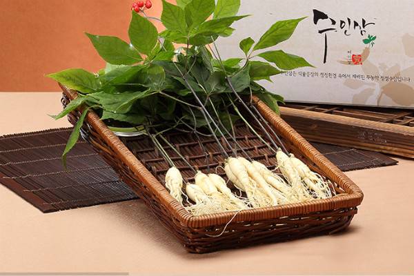 nSmart Farm Factory^IAgronics